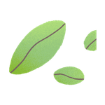 Daun Angin